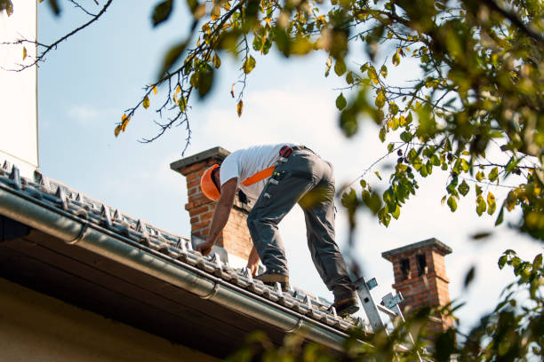 Best Residential Roofing Contractor  in Marshall, IL