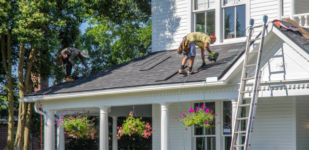 Best Flat Roof Repair Services  in Marshall, IL