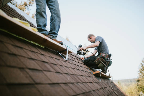 Best Roof Repair Services  in Marshall, IL